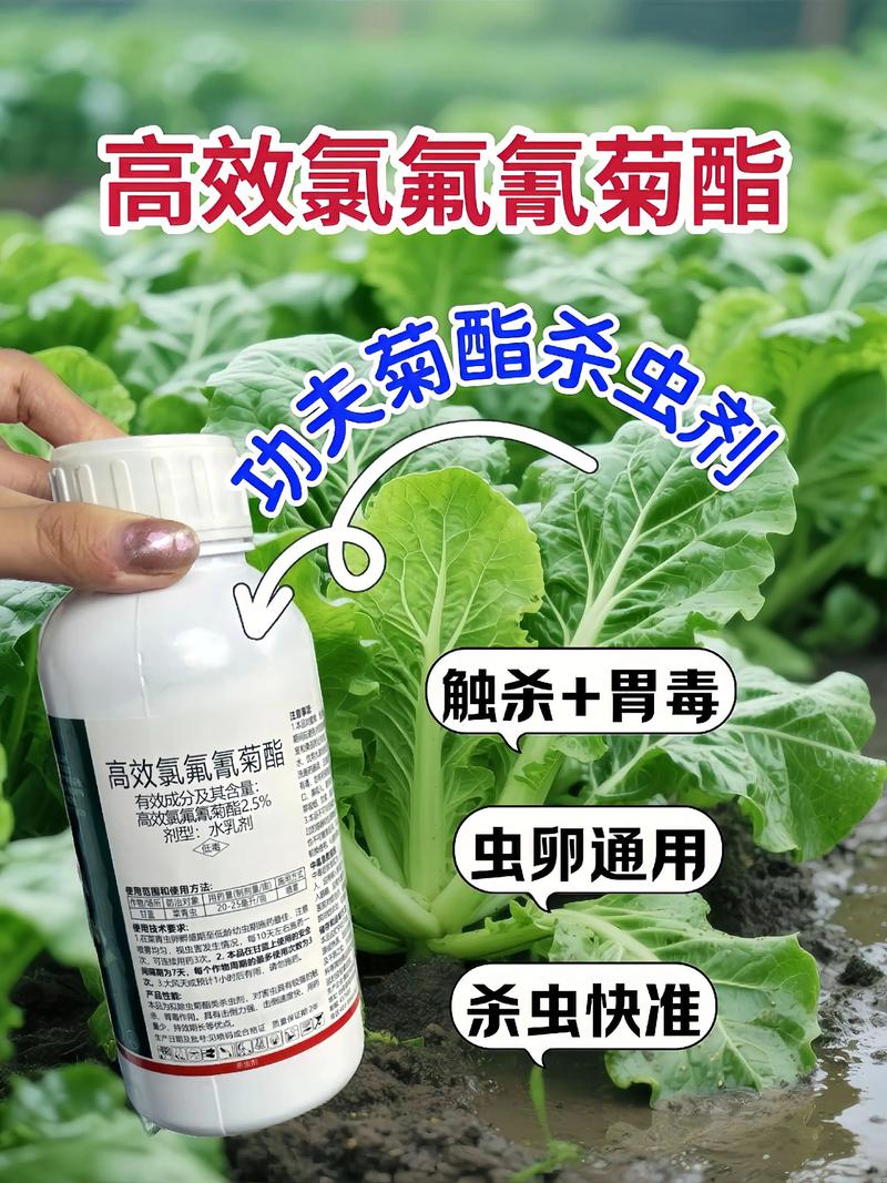 阿坝代生中心:农药对供卵代生妈妈的危害